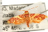  ( - PNG 6172)  @12 [ ] CreativeCommons - Attribution (2008) Unspecified Centre for Biodiversity Genomics