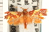  ( - PNG 6194)  @12 [ ] CreativeCommons - Attribution (2008) Unspecified Centre for Biodiversity Genomics