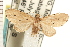  ( - PNG 6329)  @14 [ ] CreativeCommons - Attribution (2008) Unspecified Centre for Biodiversity Genomics