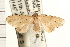  ( - PNG 6505)  @14 [ ] CreativeCommons - Attribution (2008) Unspecified Centre for Biodiversity Genomics