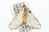  ( - USNM ENT 00676047)  @13 [ ] CreativeCommons - Attribution (2009) Unspecified Centre for Biodiversity Genomics