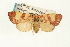  ( - USNM ENT 00703032)  @14 [ ] CreativeCommons - Attribution (2009) Unspecified Centre for Biodiversity Genomics