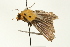  ( - USNMENT00678856)  @12 [ ] CreativeCommons - Attribution (2009) Unspecified Centre for Biodiversity Genomics