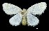  ( - USNM ENT 00933792)  @14 [ ] Unspecified (default): All Rights Reserved  Unspecified Unspecified