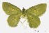  ( - USNM ENT 00933084)  @13 [ ] Unspecified (default): All Rights Reserved  Unspecified Unspecified
