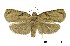  ( - USNM ENT 00196134)  @14 [ ] Unspecified (default): All Rights Reserved  Unspecified Unspecified