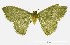  ( - USNM ENT 00933881)  @13 [ ] Unspecified (default): All Rights Reserved  Unspecified Unspecified