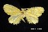  (Artaxa sp. AAD5374 - USNM ENT 00933780)  @14 [ ] Unspecified (default): All Rights Reserved  Unspecified Unspecified