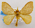  (Acraga sp - UNAM001)  @15 [ ] Unspecified (default): All Rights Reserved  Unspecified Unspecified