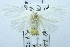  ( - USNM ENT 00206610)  @13 [ ] Unspecified (default): All Rights Reserved  Unspecified Unspecified