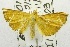  ( - USNM ENT 00270805)  @12 [ ] Unspecified (default): All Rights Reserved  Unspecified Unspecified