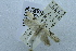  ( - USNM ENT 00731301)  @12 [ ] Unspecified (default): All Rights Reserved  Unspecified Unspecified