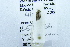  ( - USNM ENT 00731328)  @11 [ ] Unspecified (default): All Rights Reserved  Unspecified Unspecified