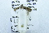  ( - USNM ENT 00731330)  @11 [ ] Unspecified (default): All Rights Reserved  Unspecified Unspecified