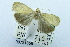  ( - USNM ENT 00731358)  @12 [ ] Unspecified (default): All Rights Reserved  Unspecified Unspecified