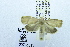  ( - USNM ENT 00731361)  @12 [ ] Unspecified (default): All Rights Reserved  Unspecified Unspecified