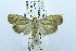  ( - USNM ENT 00731363)  @13 [ ] Unspecified (default): All Rights Reserved  Unspecified Unspecified