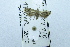  ( - USNM ENT 00731402)  @11 [ ] Unspecified (default): All Rights Reserved  Unspecified Unspecified
