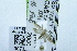  ( - USNM ENT 00731404)  @12 [ ] Unspecified (default): All Rights Reserved  Unspecified Unspecified