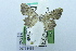  ( - USNM ENT 00731455)  @11 [ ] Unspecified (default): All Rights Reserved  Unspecified Unspecified