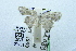  ( - USNM ENT 00731456)  @12 [ ] Unspecified (default): All Rights Reserved  Unspecified Unspecified
