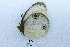  ( - USNM ENT 00731494)  @12 [ ] Unspecified (default): All Rights Reserved  Unspecified Unspecified