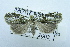  ( - USNM ENT 00731511)  @13 [ ] Unspecified (default): All Rights Reserved  Unspecified Unspecified