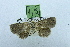  ( - USNM ENT 00731563)  @13 [ ] Unspecified (default): All Rights Reserved  Unspecified Unspecified