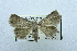  (Dysgnathia - USNM ENT 00731564)  @14 [ ] Unspecified (default): All Rights Reserved  Unspecified Unspecified