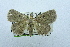  ( - USNM ENT 00731566)  @14 [ ] Unspecified (default): All Rights Reserved  Unspecified Unspecified