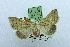  ( - USNM ENT 00731567)  @13 [ ] Unspecified (default): All Rights Reserved  Unspecified Unspecified
