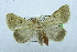  ( - USNM ENT 00731570)  @13 [ ] Unspecified (default): All Rights Reserved  Unspecified Unspecified