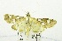  ( - USNM ENT 00512852)  @11 [ ] Unspecified (default): All Rights Reserved  Unspecified Unspecified