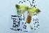  (Syntomaula sp. AAN2760 - USNM ENT 00667873)  @12 [ ] Unspecified (default): All Rights Reserved  Unspecified Unspecified