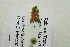  ( - USNM ENT 00719031)  @12 [ ] Unspecified (default): All Rights Reserved  Unspecified Unspecified