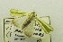  ( - USNM ENT 00719032)  @11 [ ] Unspecified (default): All Rights Reserved  Unspecified Unspecified