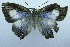  ( - USNM ENT 00730835)  @12 [ ] Unspecified (default): All Rights Reserved  Unspecified Unspecified