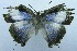  ( - USNM ENT 00730836)  @12 [ ] Unspecified (default): All Rights Reserved  Unspecified Unspecified
