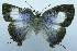  ( - USNM ENT 00730837)  @12 [ ] Unspecified (default): All Rights Reserved  Unspecified Unspecified
