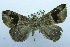  ( - USNM ENT 00730868)  @13 [ ] Unspecified (default): All Rights Reserved  Unspecified Unspecified