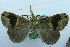  ( - USNM ENT 00730873)  @13 [ ] Unspecified (default): All Rights Reserved  Unspecified Unspecified