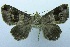  ( - USNM ENT 00730875)  @13 [ ] Unspecified (default): All Rights Reserved  Unspecified Unspecified