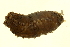  ( - 10BIOBC-EC116)  @14 [ ] CreativeCommons - Attribution (2011) CBG Photography Group Centre for Biodiversity Genomics