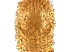  (Vittacus cf. gen.nov - S109-1)  @11 [ ] CreativeCommons - Attribution Non-Commercial Share-Alike (2020) Unspecified Nanjing Agriculture university