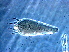 ( - GD140-1)  @11 [ ] CreativeCommons - Attribution Non-Commercial Share-Alike (2020) Unspecified Nanjing Agriculture university