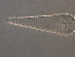  ( - GD138-3)  @11 [ ] CreativeCommons - Attribution Non-Commercial Share-Alike (2020) Unspecified Nanjing Agriculture university