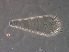  ( - GD127-1)  @11 [ ] CreativeCommons - Attribution Non-Commercial Share-Alike (2020) Unspecified Nanjing Agriculture university