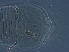  ( - GD127-1)  @11 [ ] CreativeCommons - Attribution Non-Commercial Share-Alike (2020) Unspecified Nanjing Agriculture university
