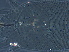  ( - GD132-2)  @11 [ ] CreativeCommons - Attribution Non-Commercial Share-Alike (2020) Unspecified Nanjing Agriculture university