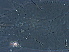  ( - GD132-2)  @11 [ ] CreativeCommons - Attribution Non-Commercial Share-Alike (2020) Unspecified Nanjing Agriculture university